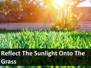 reflect the sunlight onto the grass